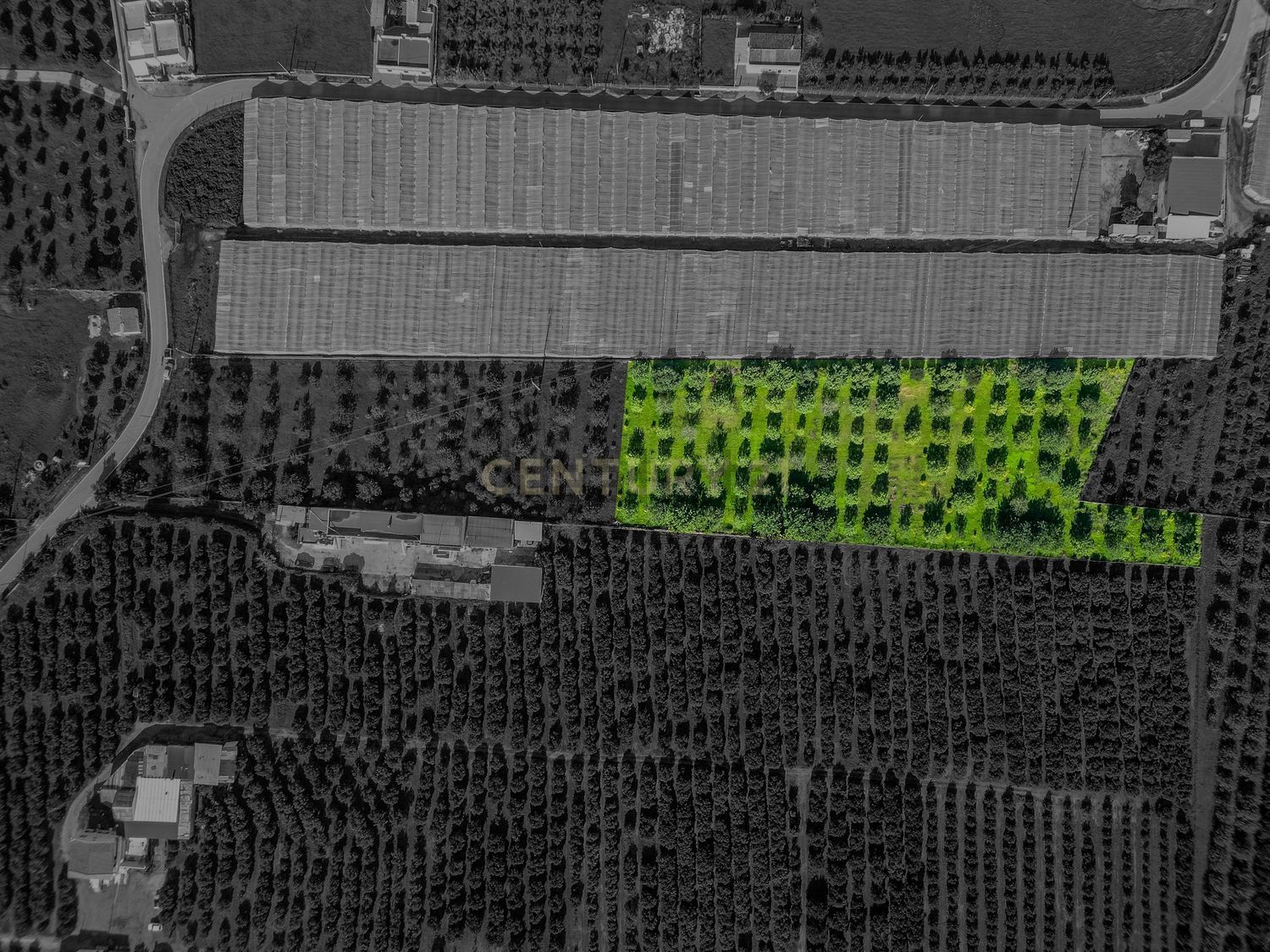 小楼房或独栋别墅出售在Estrada Municipal 520-4 - 平面图