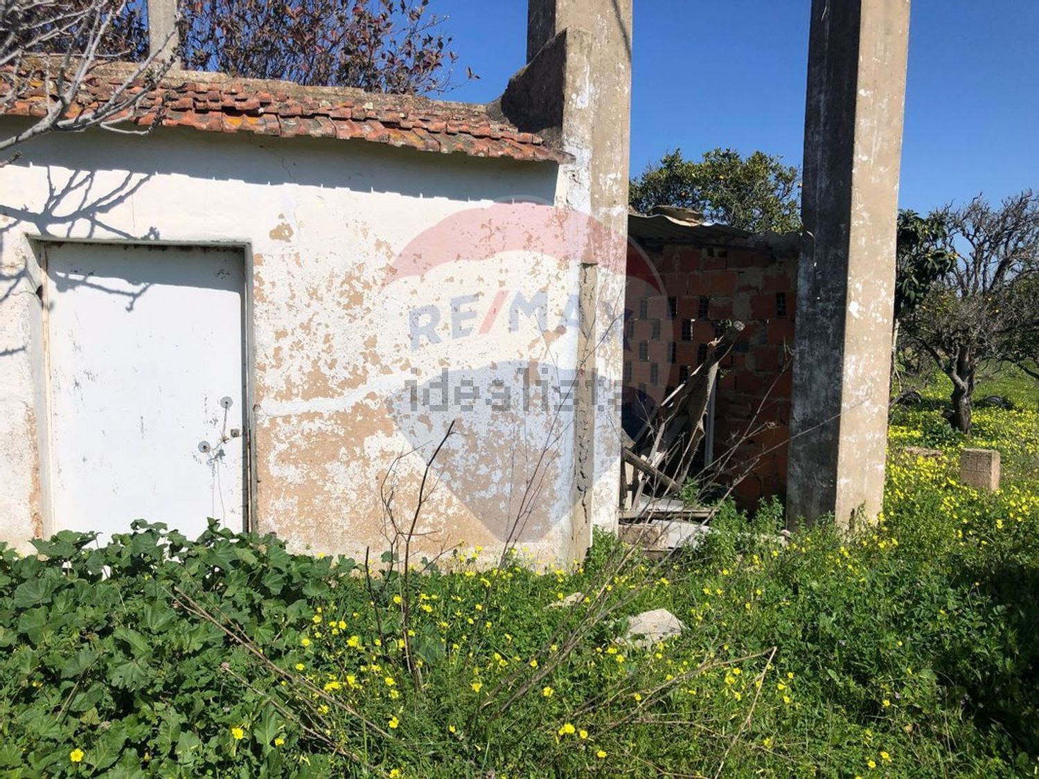 小楼房或独栋别墅出售在Vale de Lousas - Fontes da Matosa - 照片