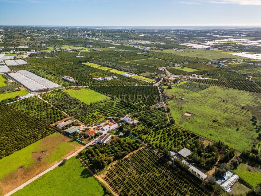 小楼房或独栋别墅出售在Estrada Municipal 520-4