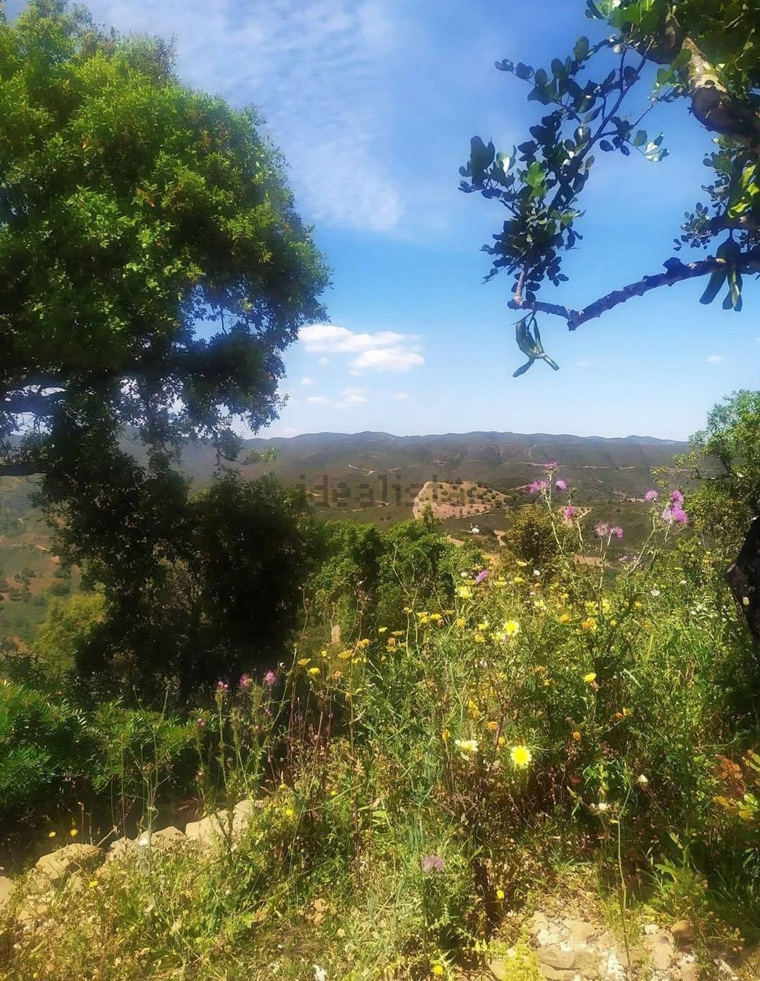 小楼房或独栋别墅出售Santa Catarina Fonte Bispo s/n - 视线