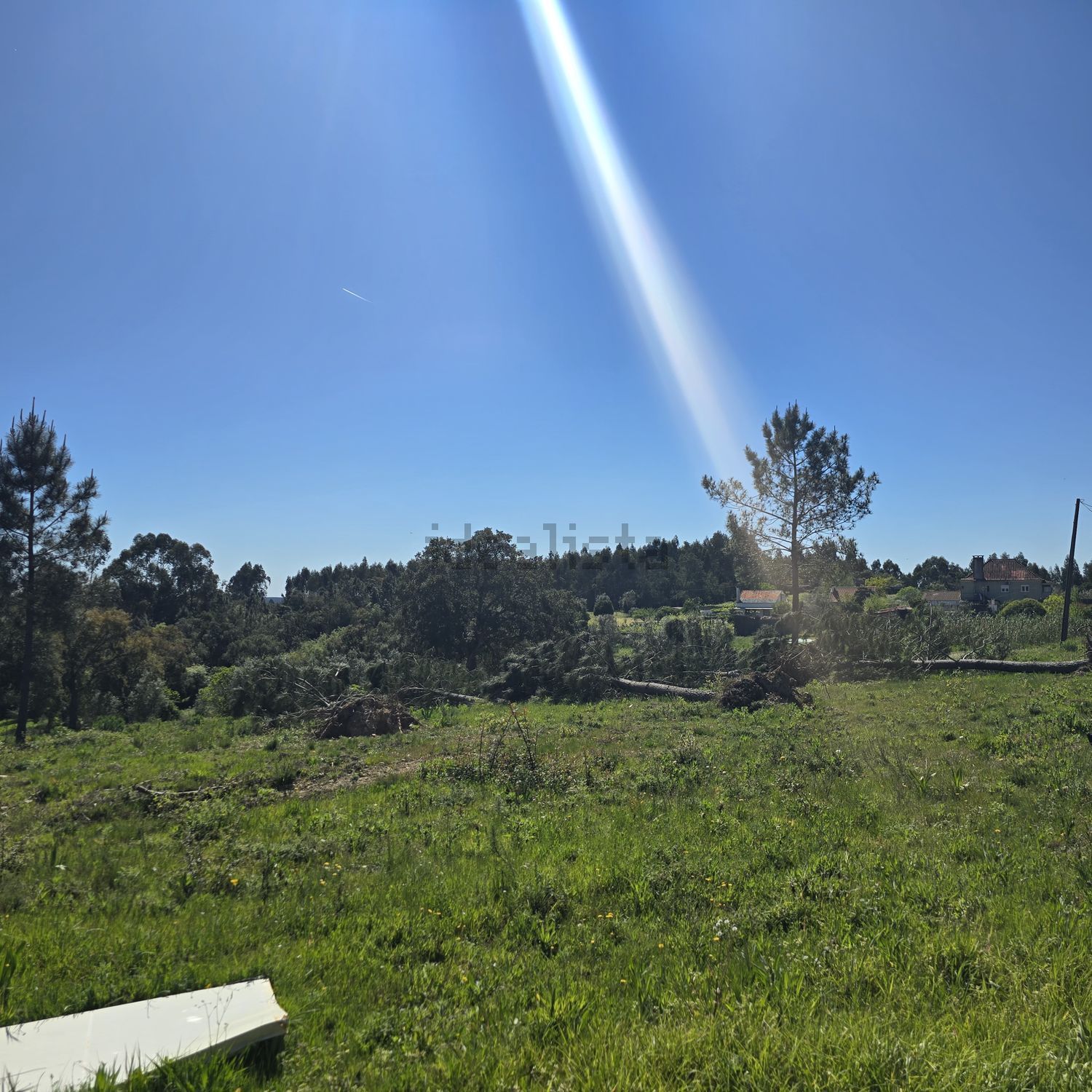 小楼房或独栋别墅出售在Tomar e Santa Maria dos Olivais - 花园