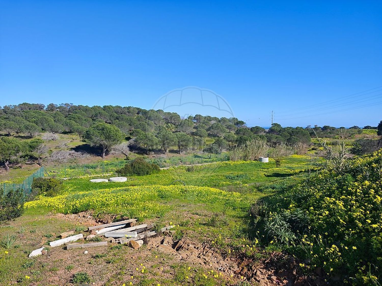 小楼房或独栋别墅出售在Estrada Sem Nome - 花园