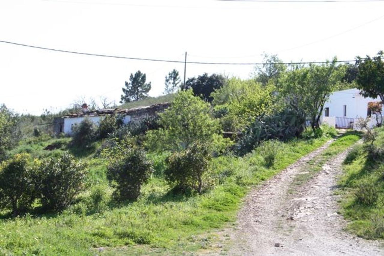 小镇楼房出售在Santa Catarina Fonte Bispo - 花园