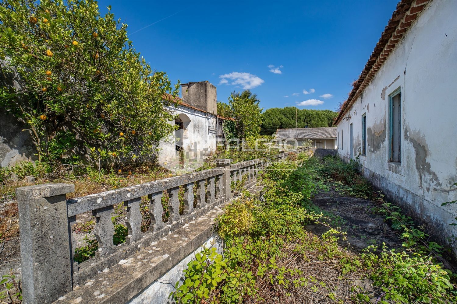 小楼房或独栋别墅出售在Cidade de Santarém - 外立面