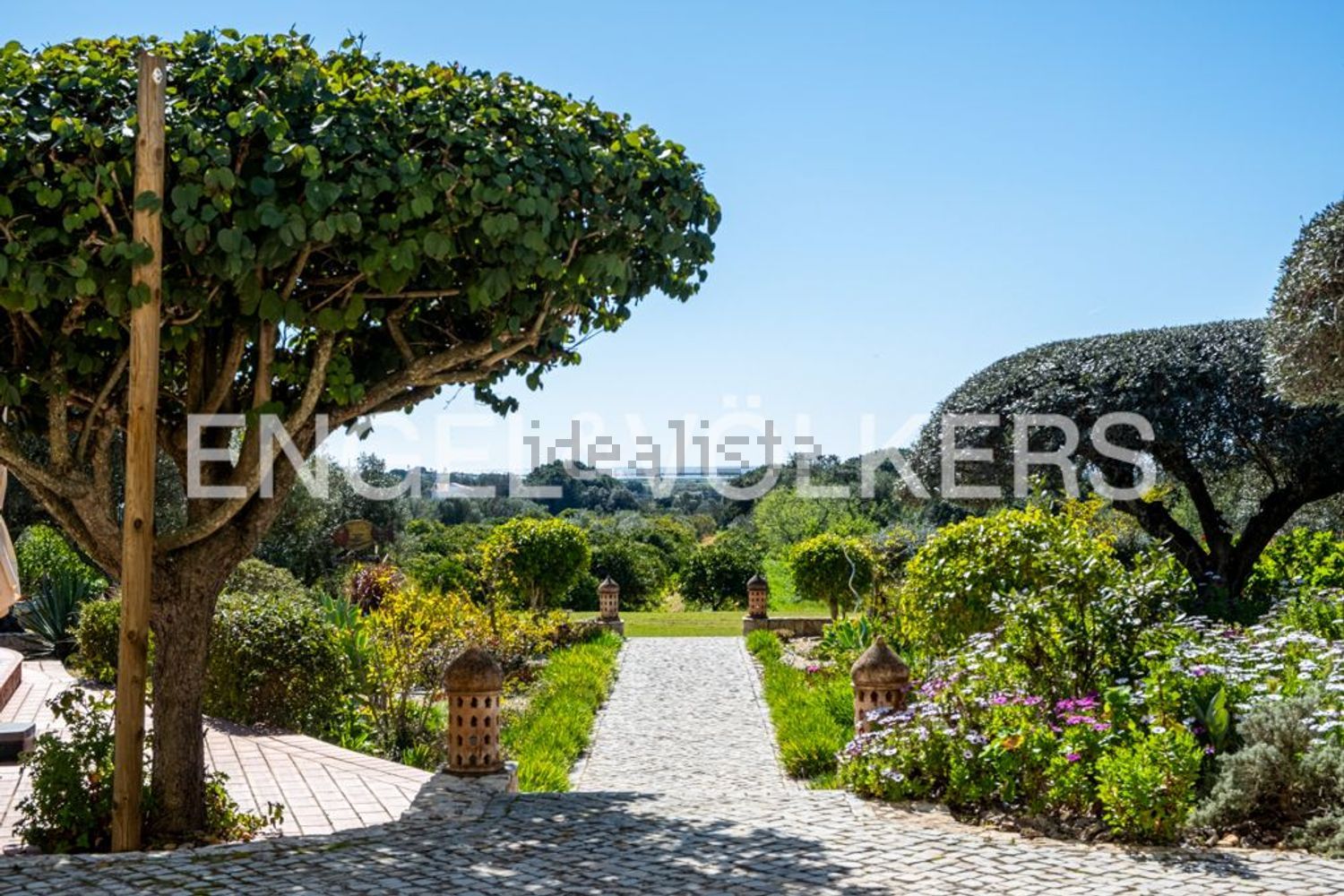 小楼房或独栋别墅出售União das freguesias de Luz de Tavira e Santo Estêvão - 花园