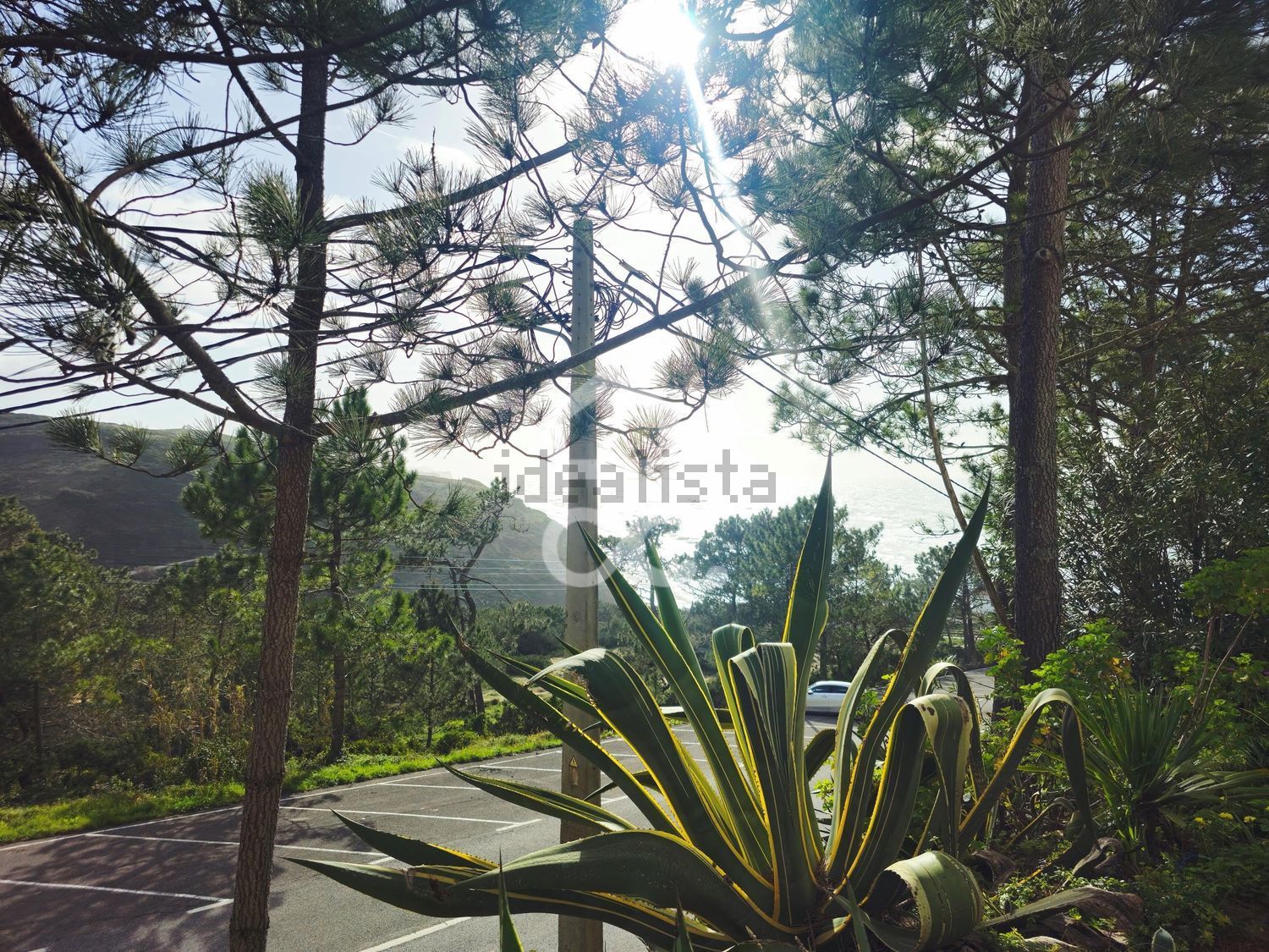 公寓 t1出售在Almargem do Bispo - Pêro Pinheiro - Montelavar - 花园