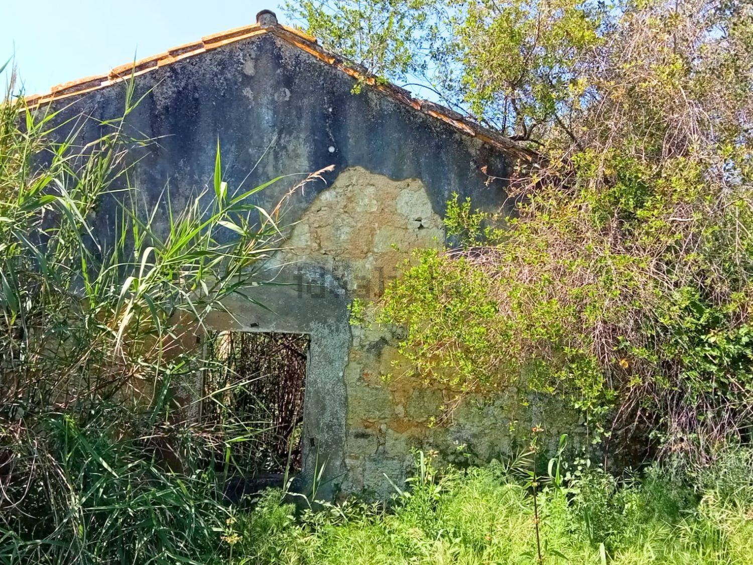 小楼房或独栋别墅出售Santarém - 花园