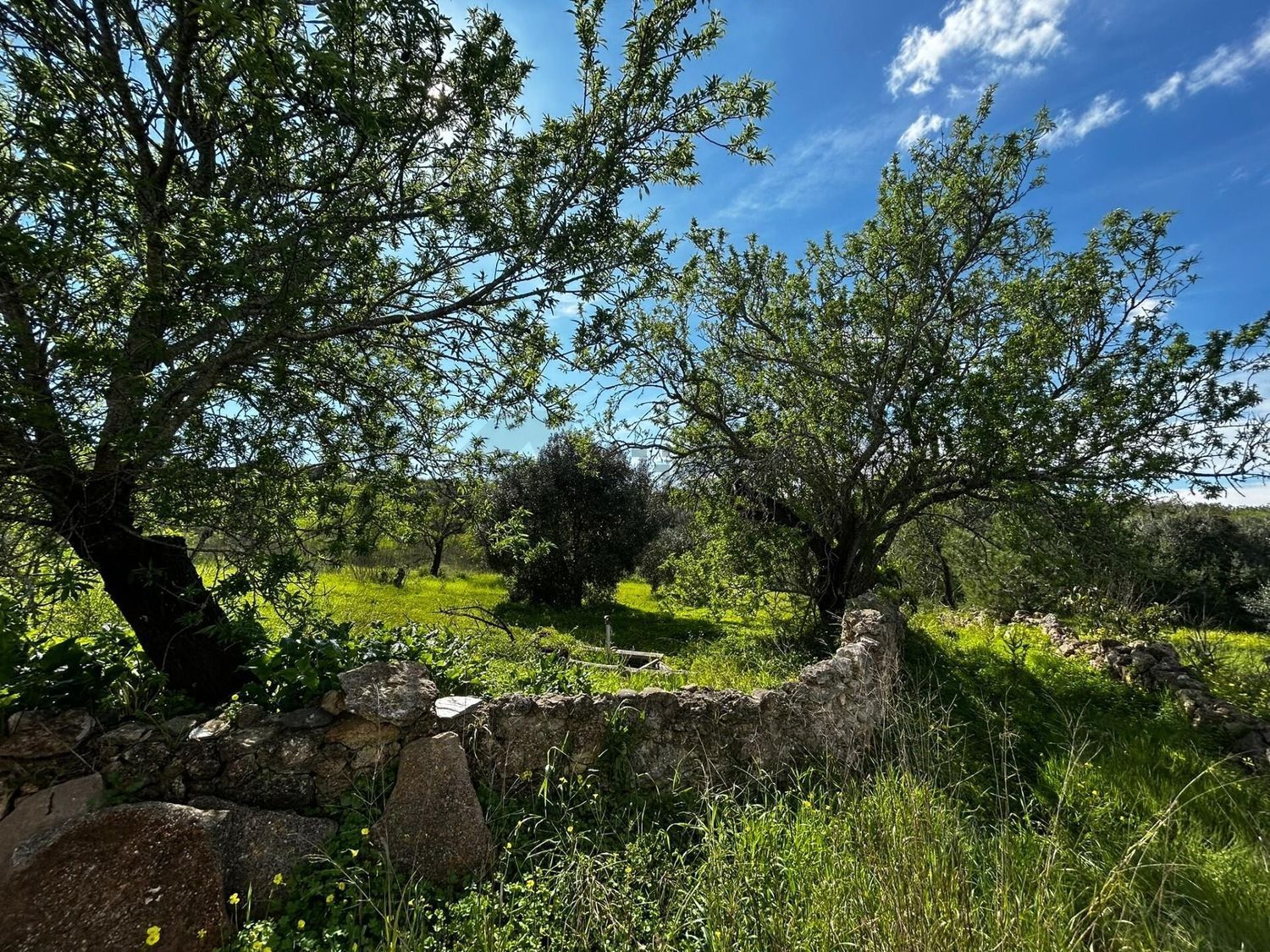 小楼房或别墅出售在Rua Inácio José de Mendonça, 9 - 花园