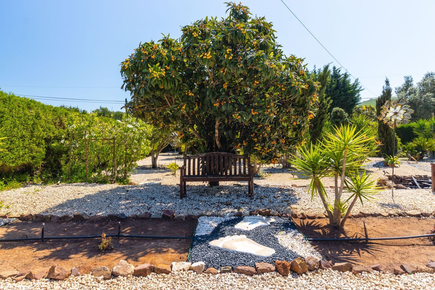 小楼房或独栋别墅出售Quinta Da Terra Nova , Terra das Almas - 花园