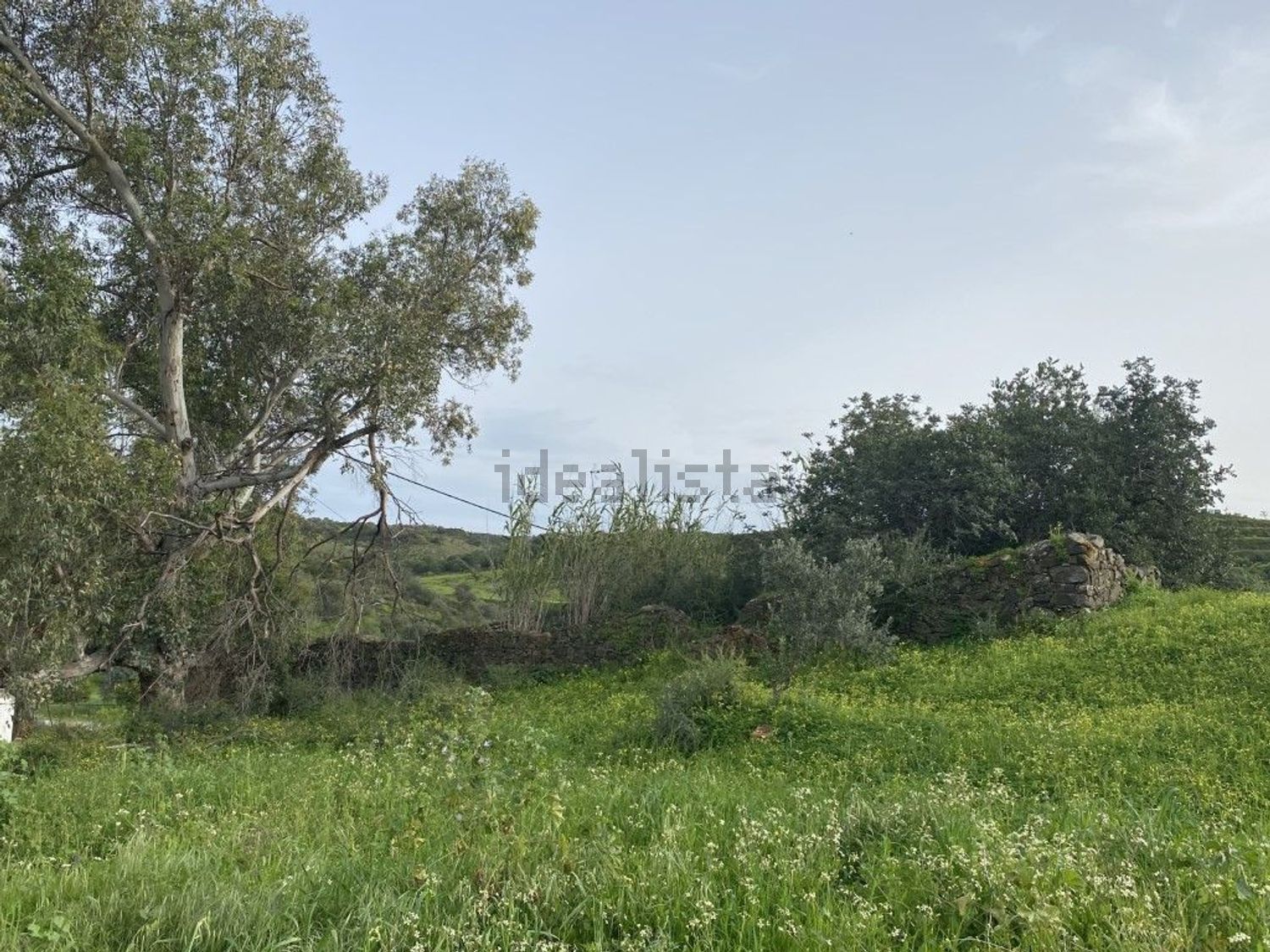 小楼房或独栋别墅出售在Centro de Castro Marim - 花园