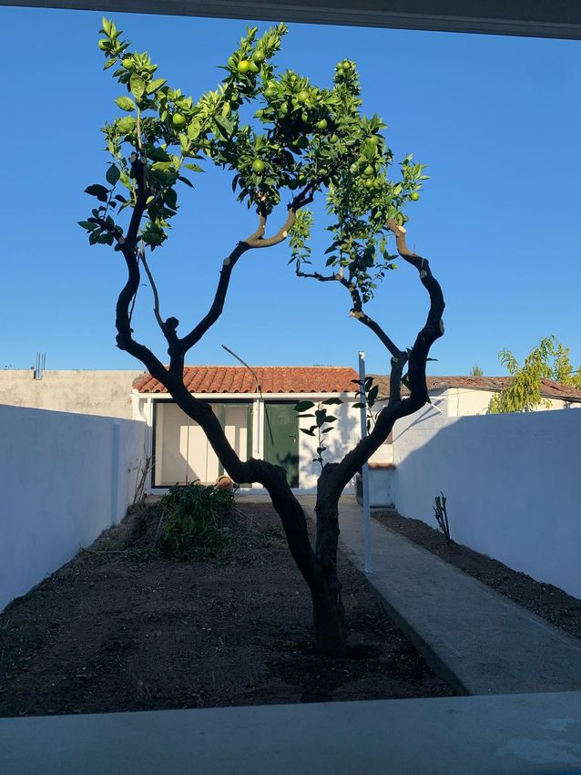 出租双拼别墅在Rua Infante Sagres