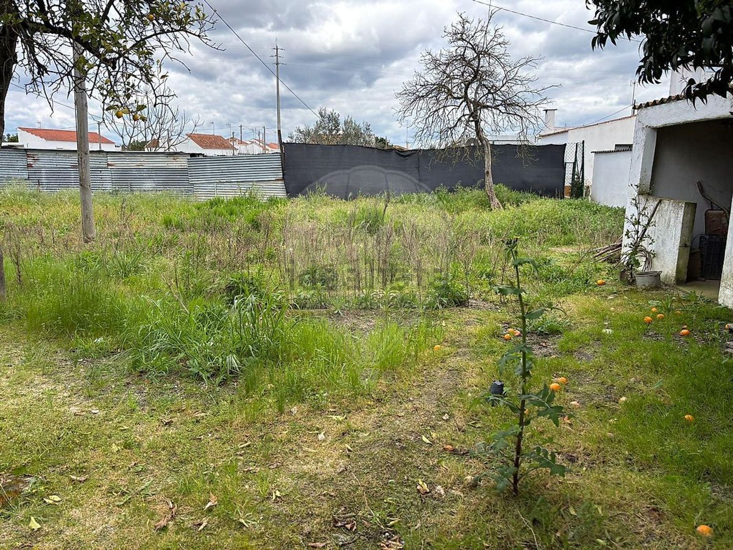 小楼房或独栋别墅出售在Couço - 花园