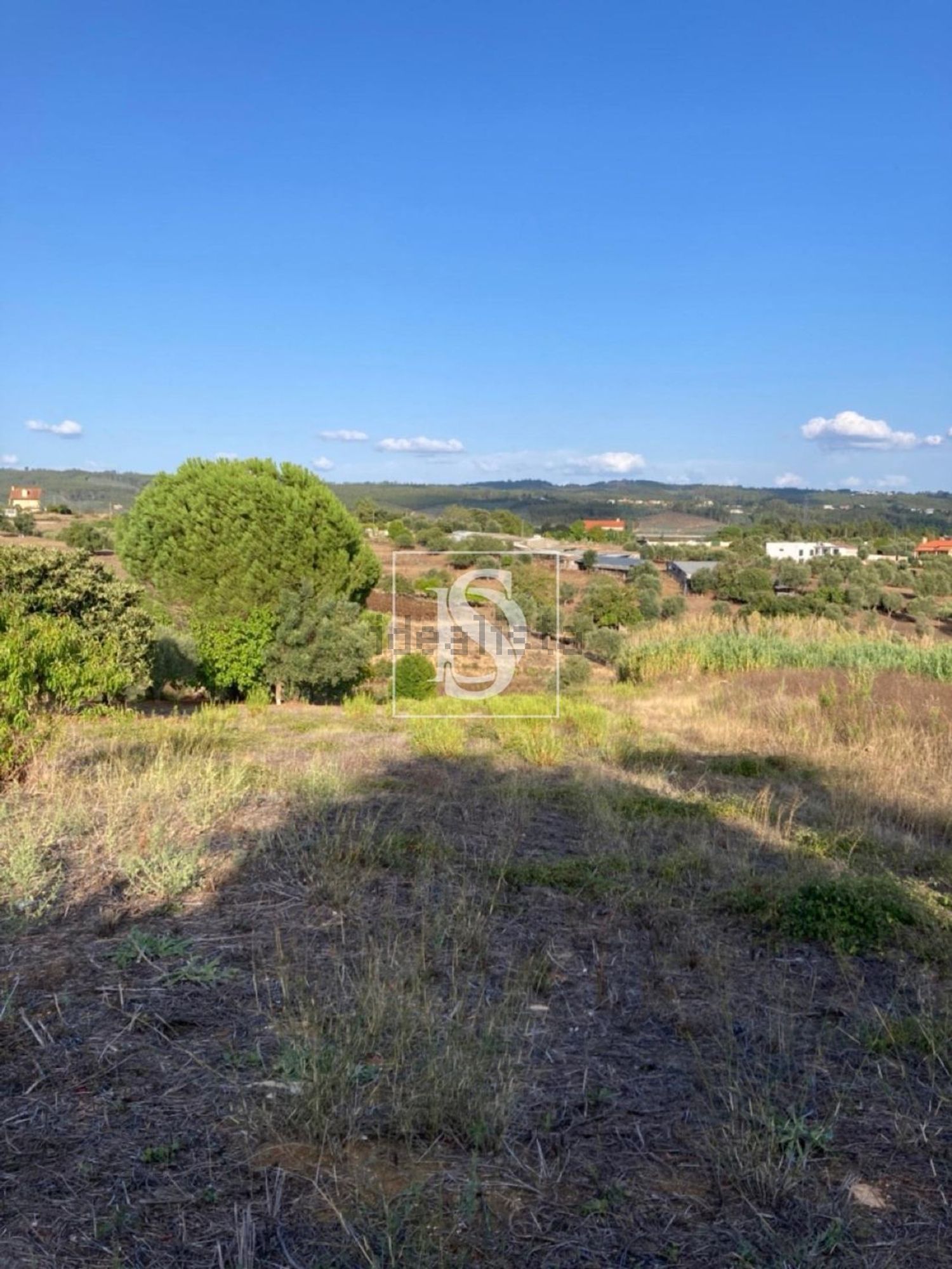 小楼房或独栋别墅出售在Tomar e Santa Maria dos Olivais - 视线