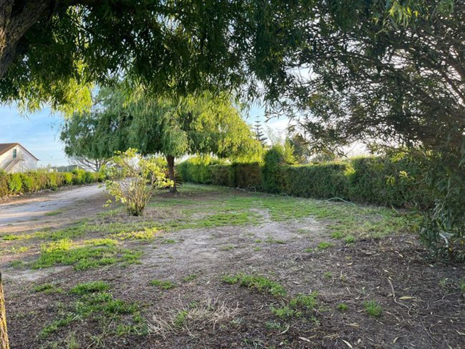 小楼房或独栋别墅出售在Rua das Corriolas - 花园