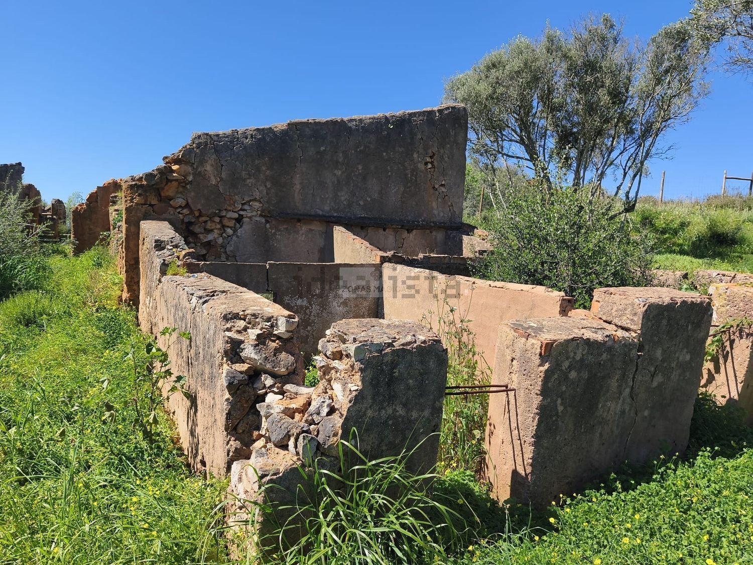 庄园出售在Espiche - 花园