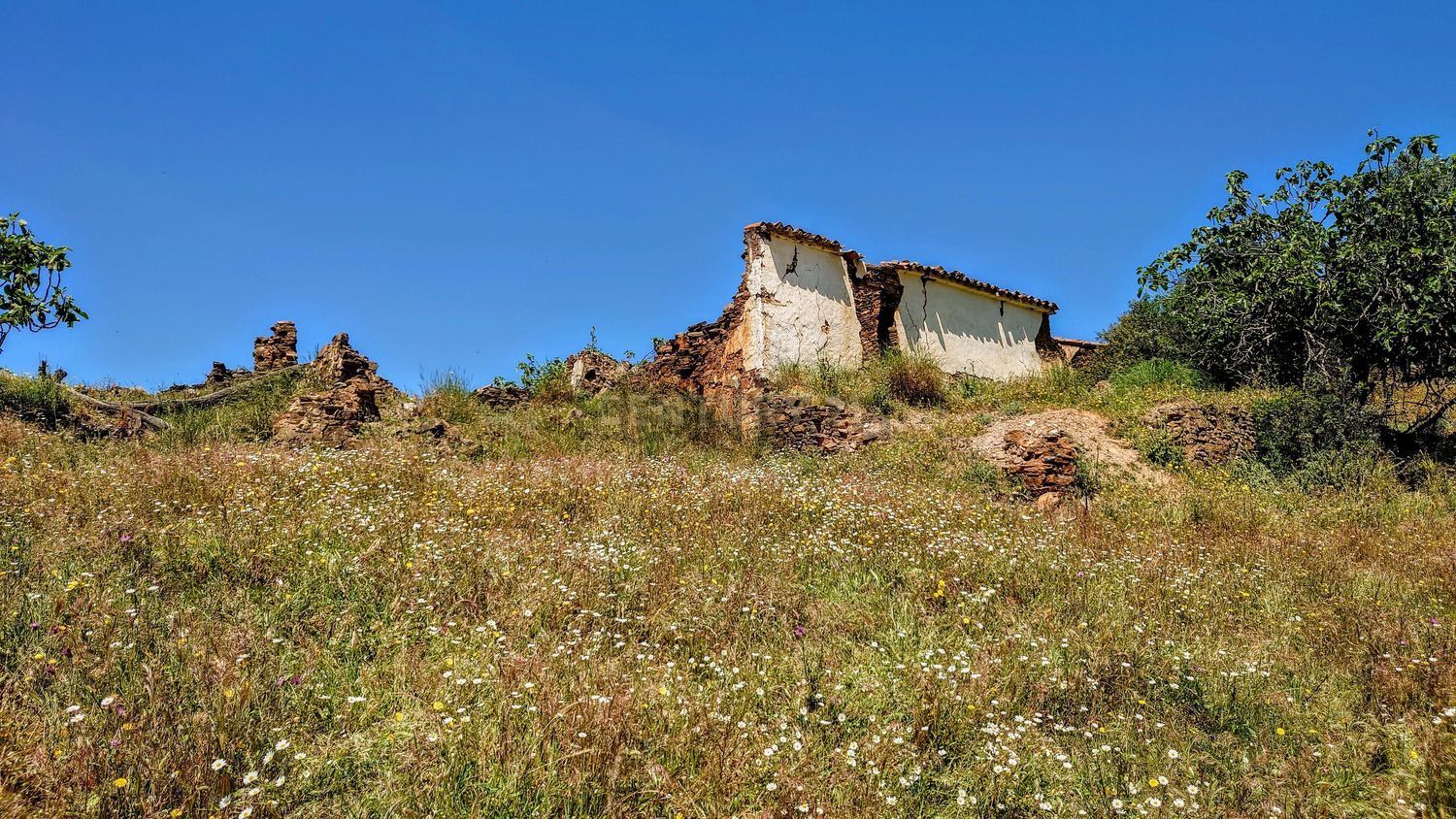 小楼房或独栋别墅出售在Rua de Vale Fontes de Baixo - 花园