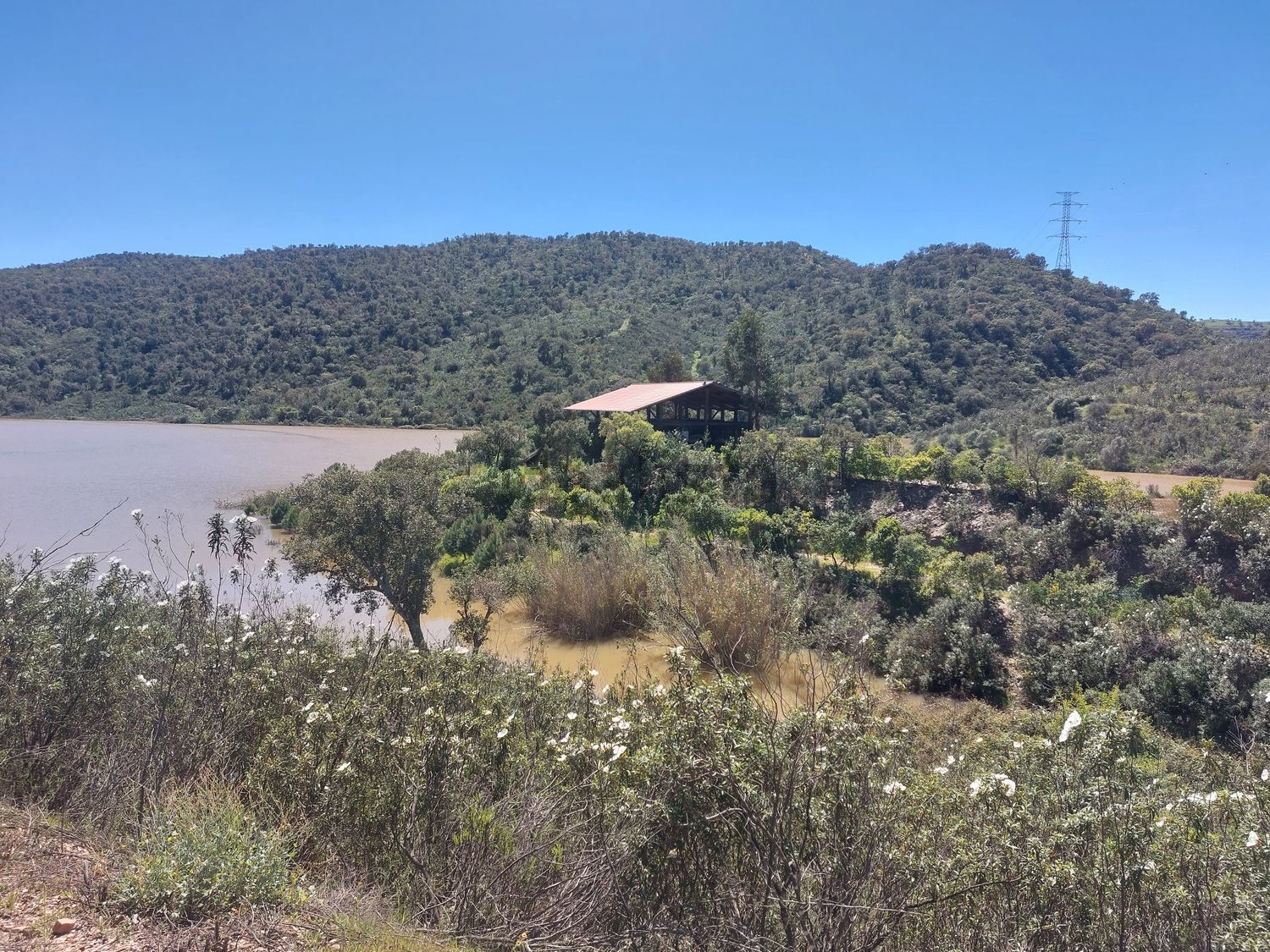 庄园出售在Rua de Fonte Ferrenha, 8 n - 视线
