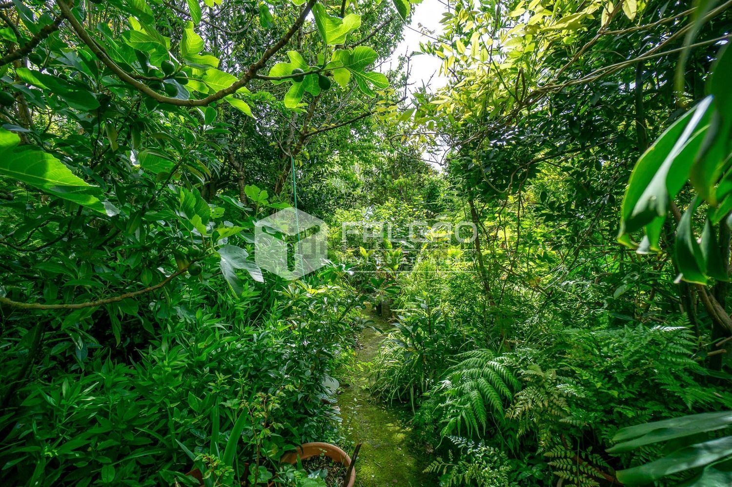 小楼房或独栋别墅出售在Cidade de Santarém - 花园