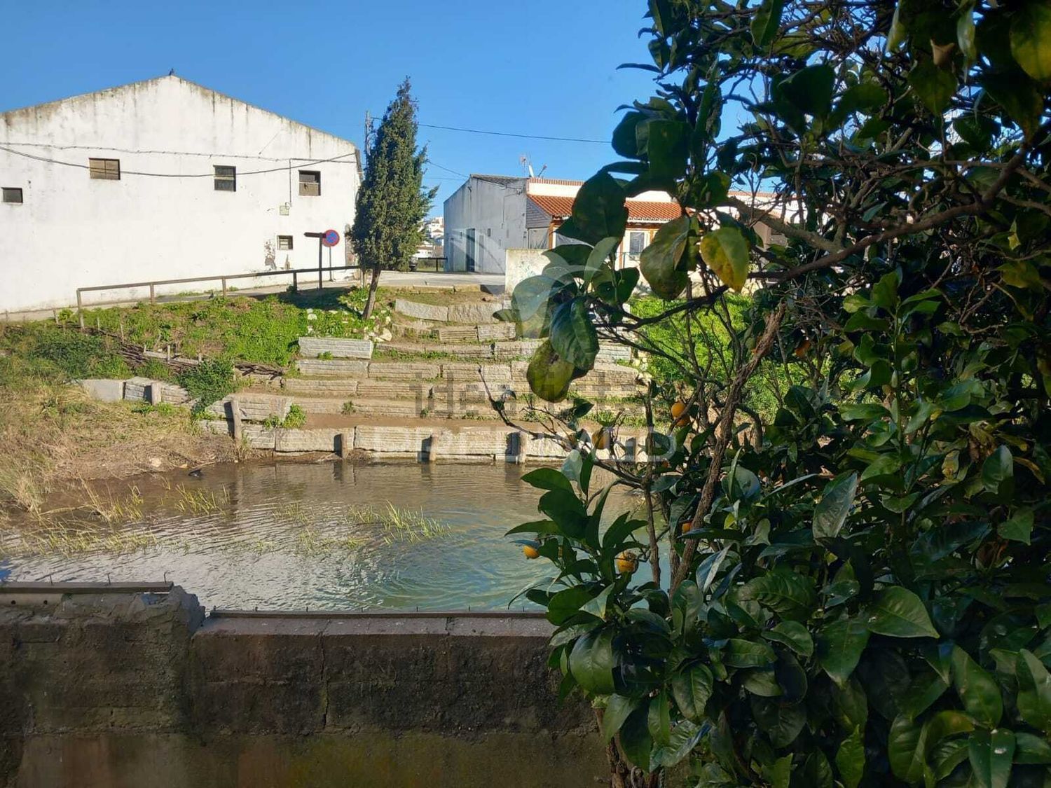小楼房或独栋别墅出售在Rua João Dias Mendes - 花园