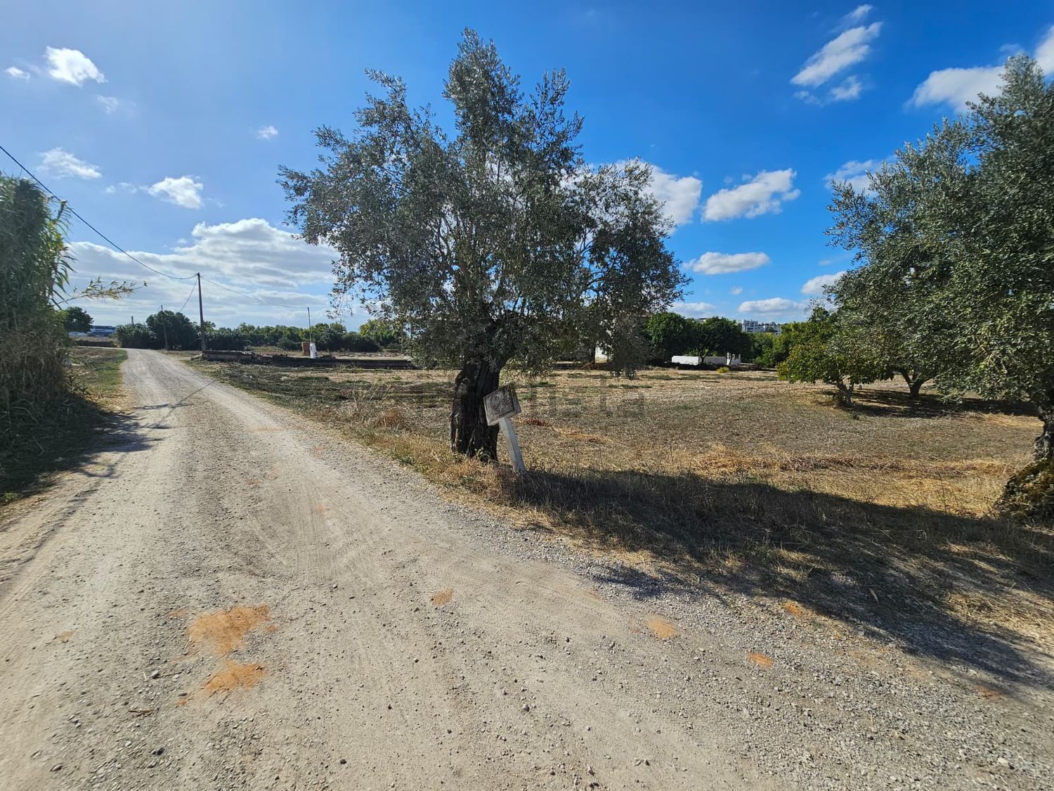 小楼房或独栋别墅出售在Rua da Via Romana, 59 - 花园