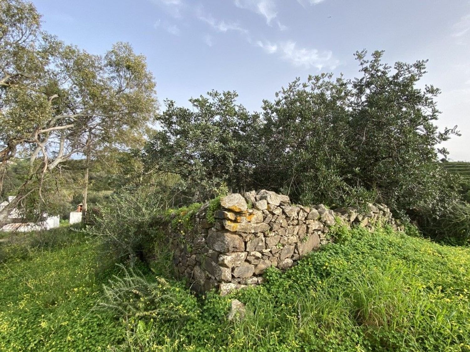 小楼房或独栋别墅出售在Centro de Castro Marim - 花园