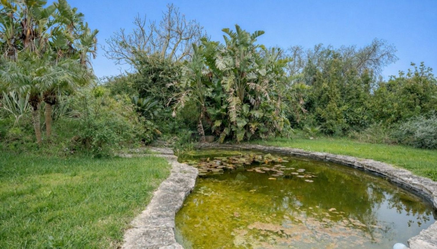 小楼房或别墅出售在Bensafrim e Barão de São João - 花园