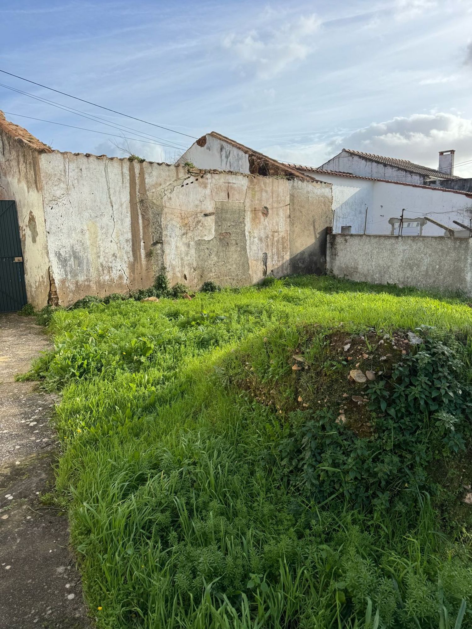 双拼别墅出售São Miguel do rio torto, 10 - 花园