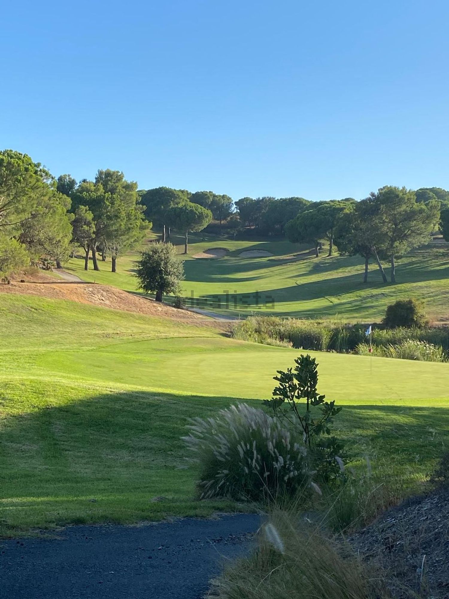联排别墅出售golf resort - 花园