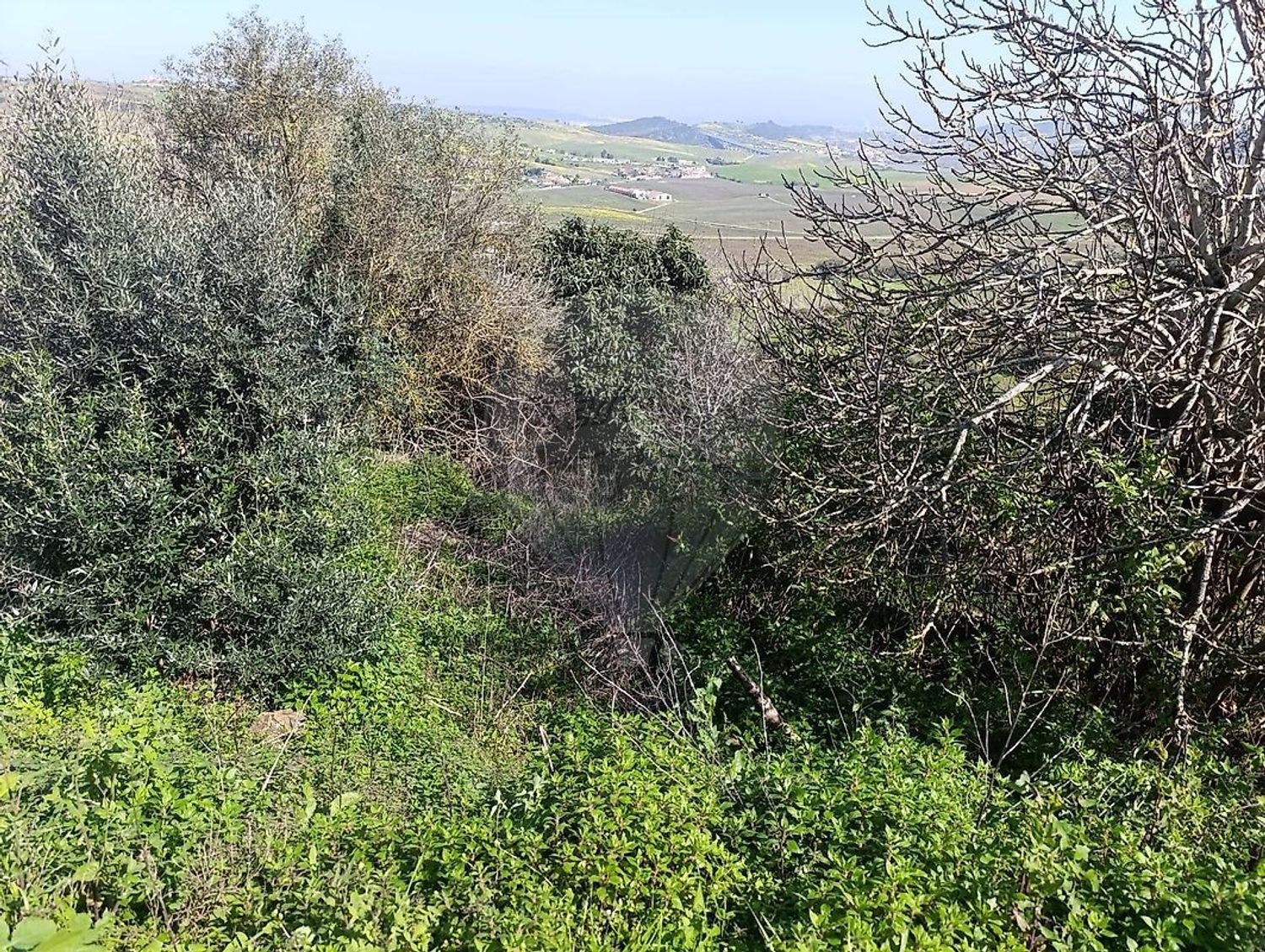 小楼房或独栋别墅出售在Estrada da Quinta da Serra - 视线