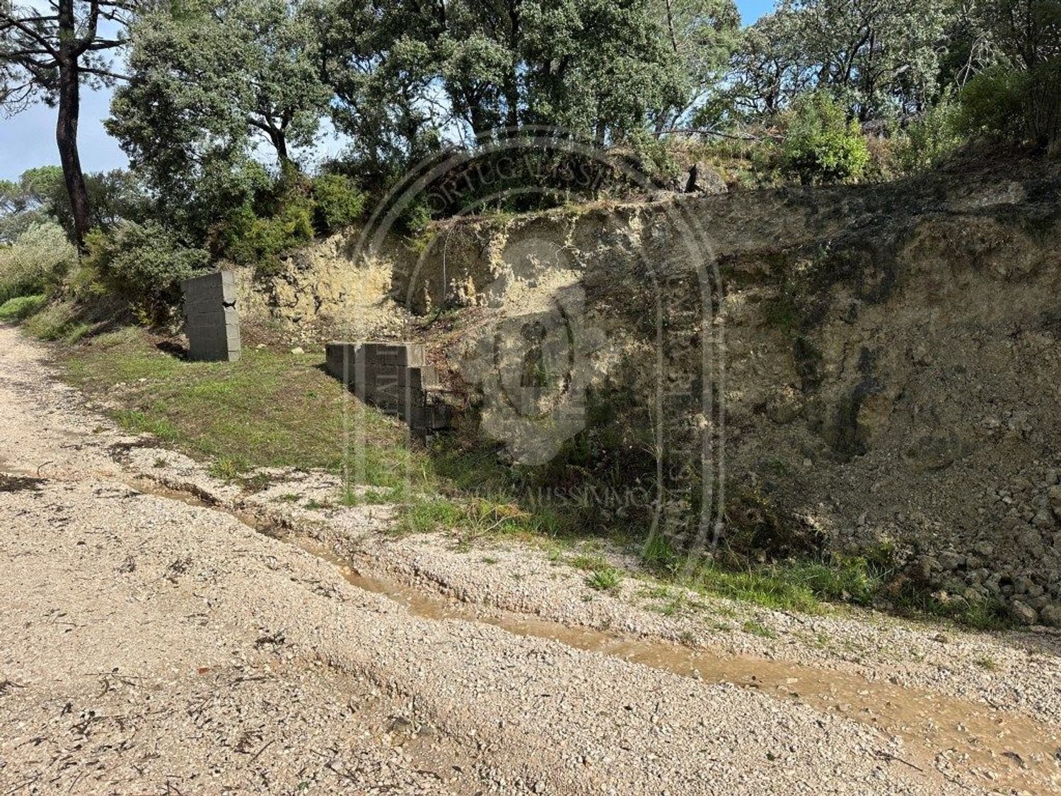 农庄出售在Brogueira - Parceiros de Igreja - Alcorochel - 花园