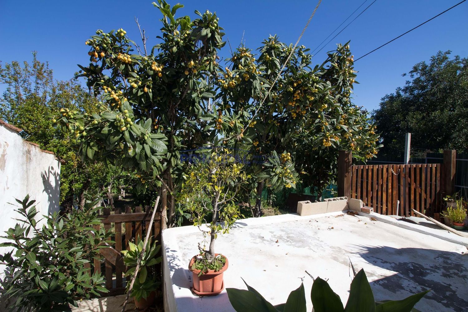 小楼房或别墅出售在Algoz e Tunes - 花园