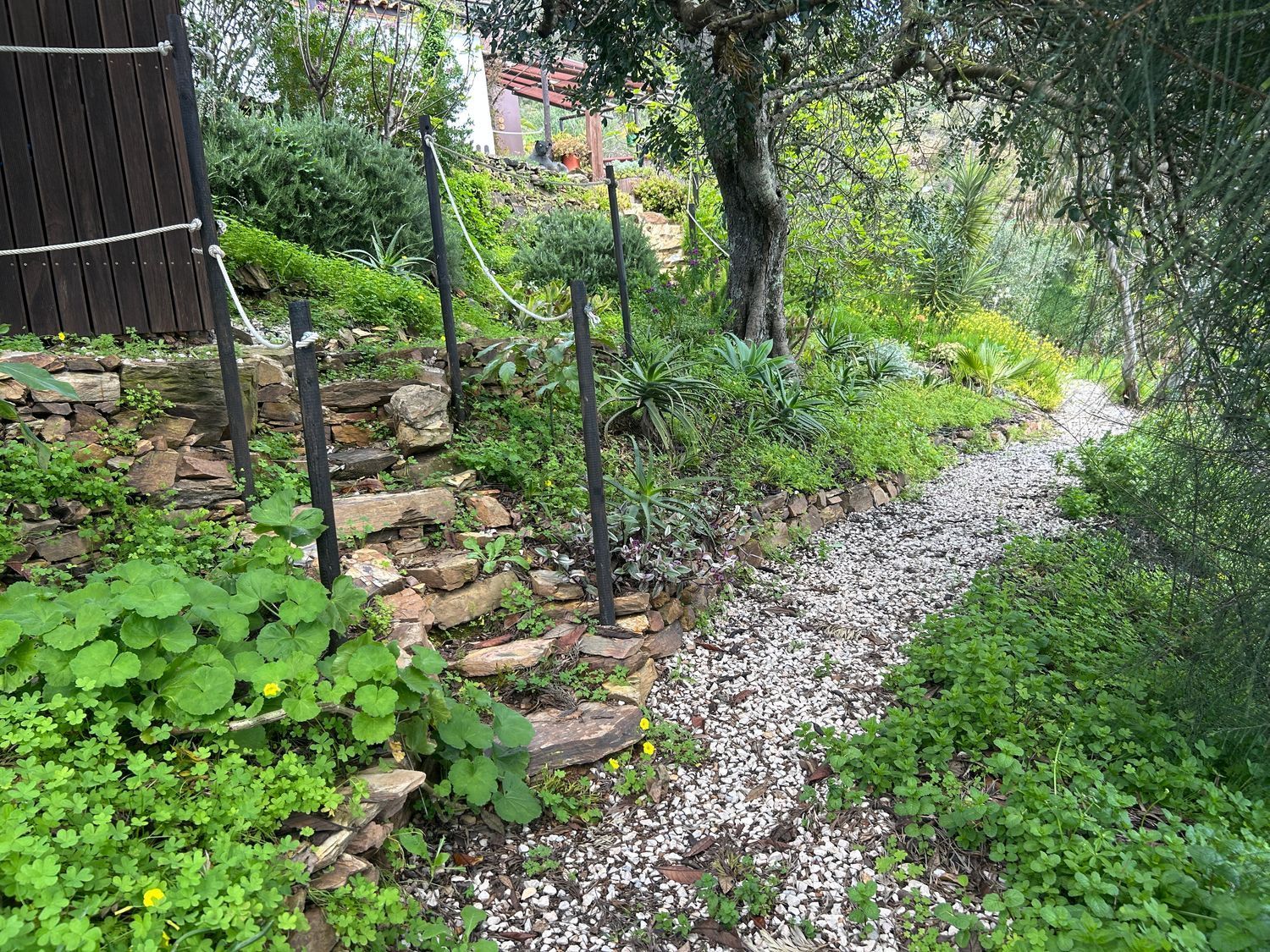 小楼房或独栋别墅出售Malhada do Judeu, 113 -p - 花园