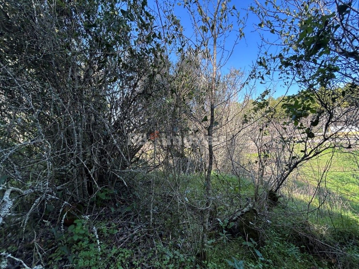 小楼房或独栋别墅出售在Rua Principal da Murteira, 28 - 花园
