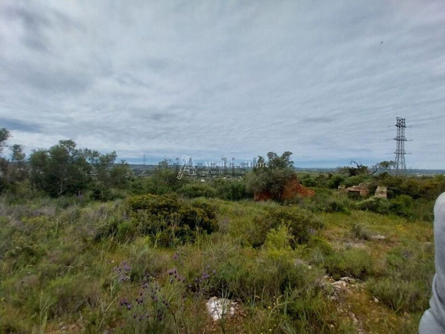 庄园出售在Algoz e Tunes - 视线