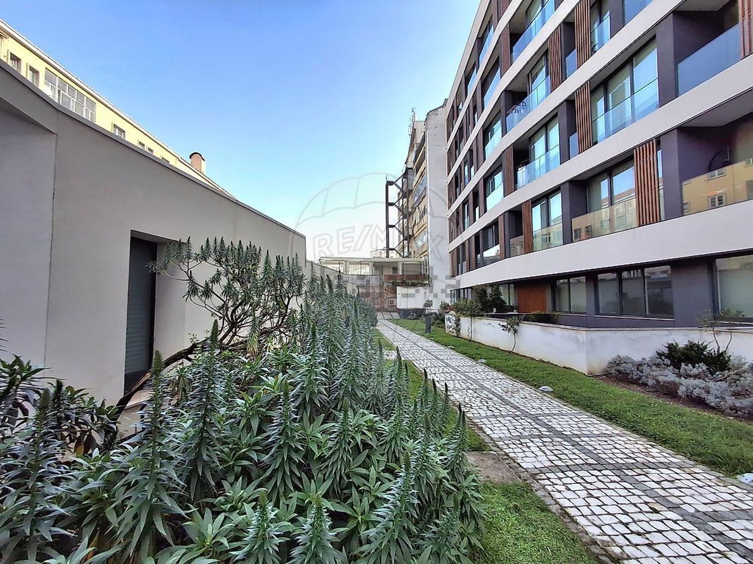 公寓 t1出售Campo Grande - 视线