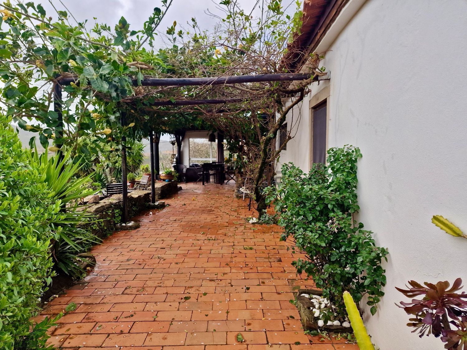 小镇楼房出售在Santa Catarina Fonte Bispo - 花园