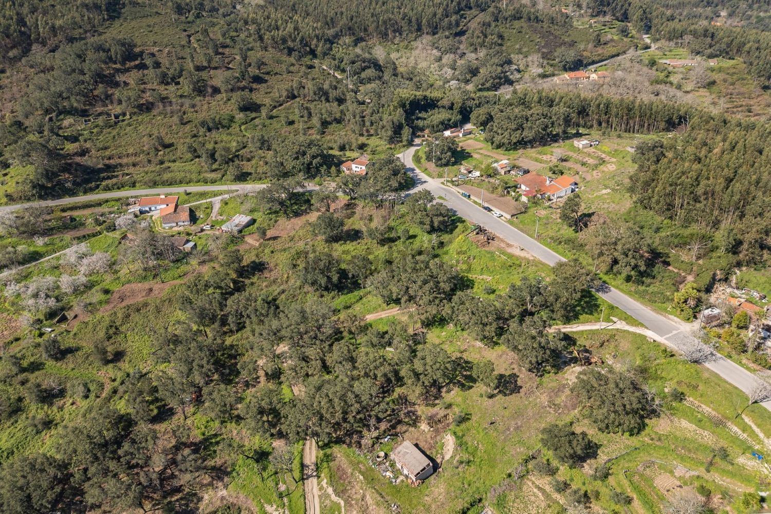 庄园出售在Estrada Sem Nome, 1 - 视线