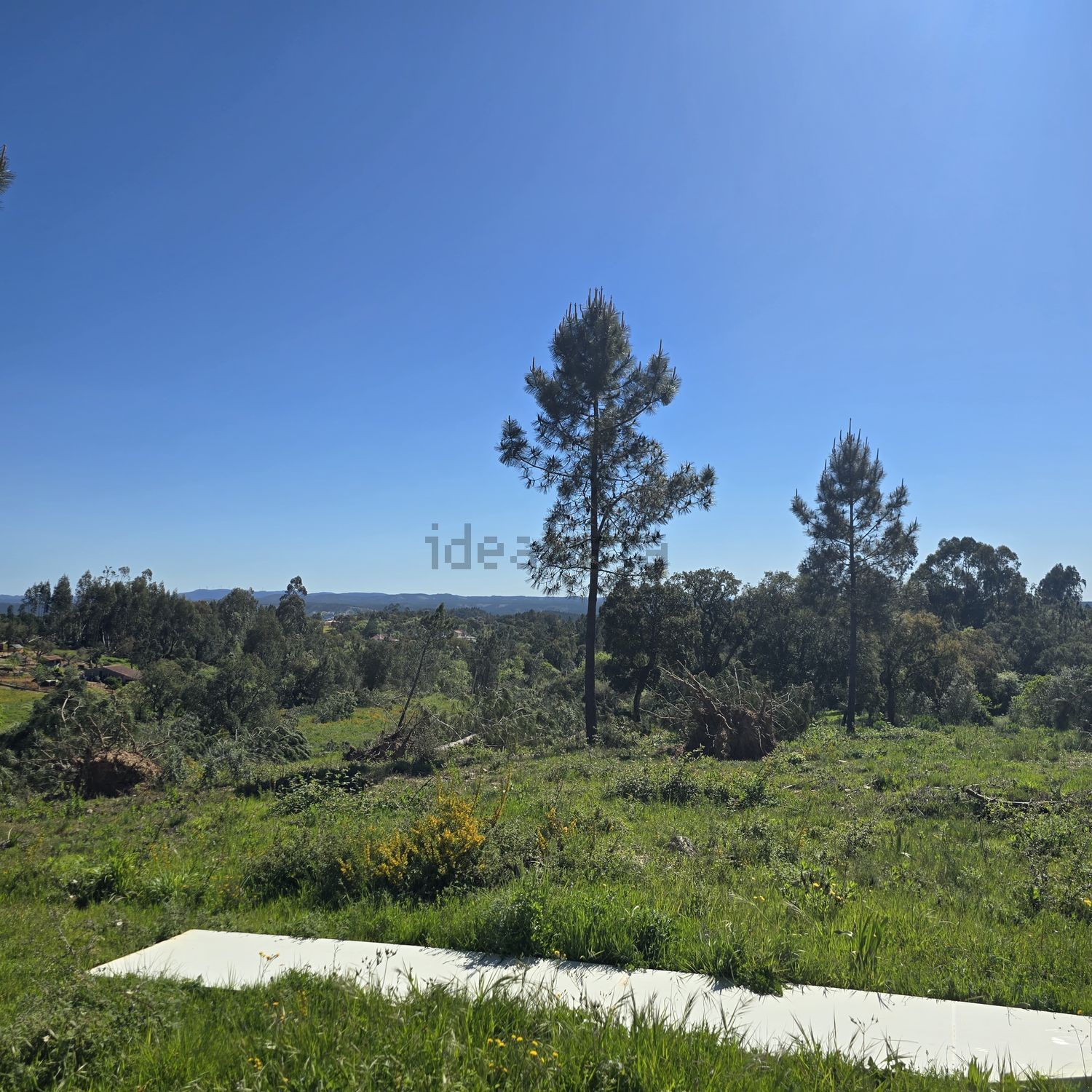 小楼房或独栋别墅出售在Tomar e Santa Maria dos Olivais - 视线