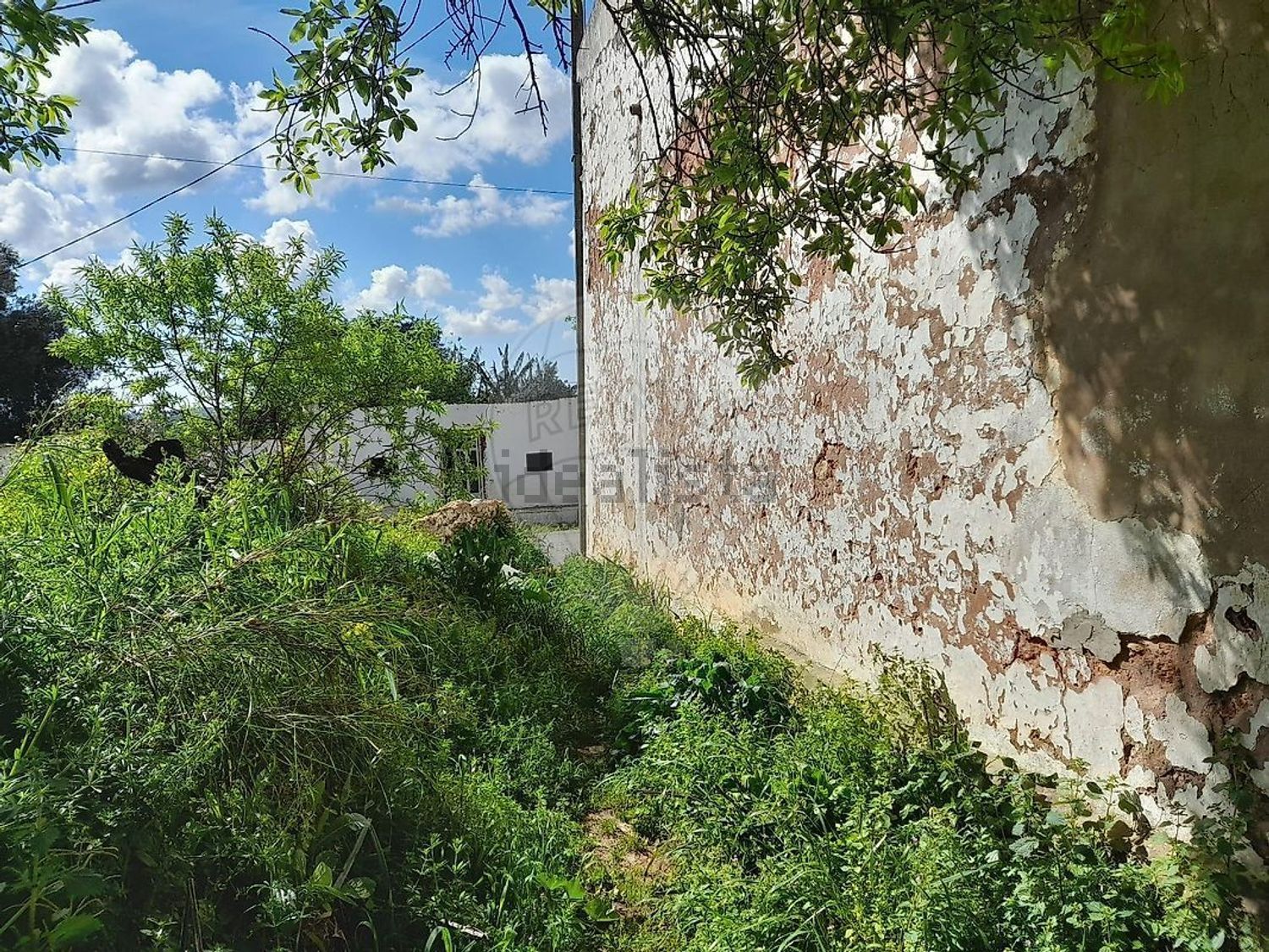 小楼房或独栋别墅出售Messines de Baixo, 8375-046, São Bartolomeu de Messines, Silves, Faro - 花园