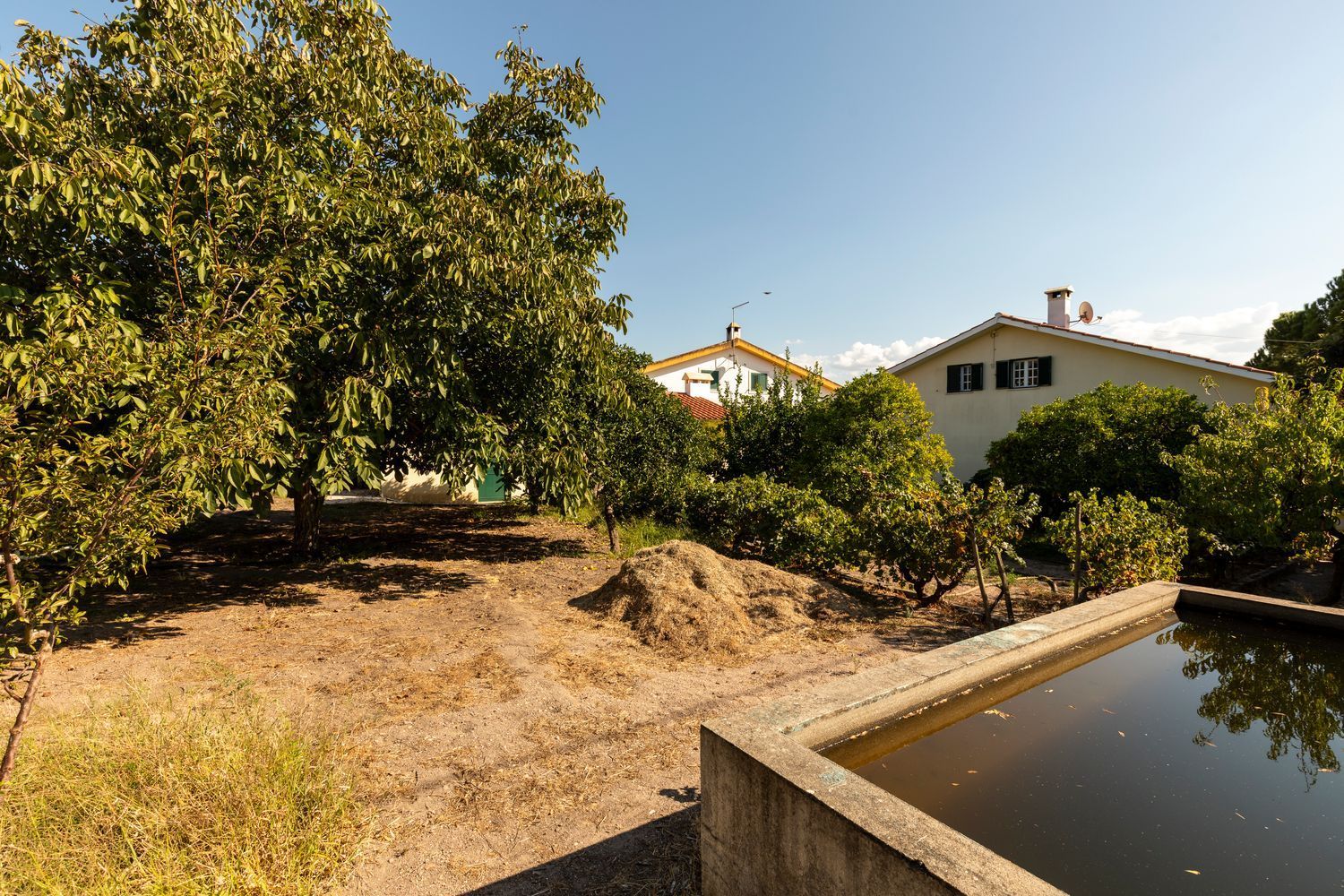 小楼房或独栋别墅出售在Rua das Oliveirinhas s/n - 游泳池