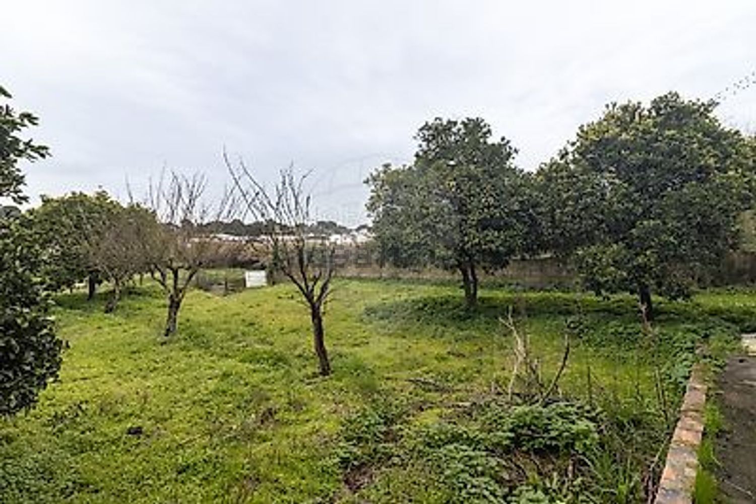 小楼房或独栋别墅出售在Rua da Central Elevatória - 花园