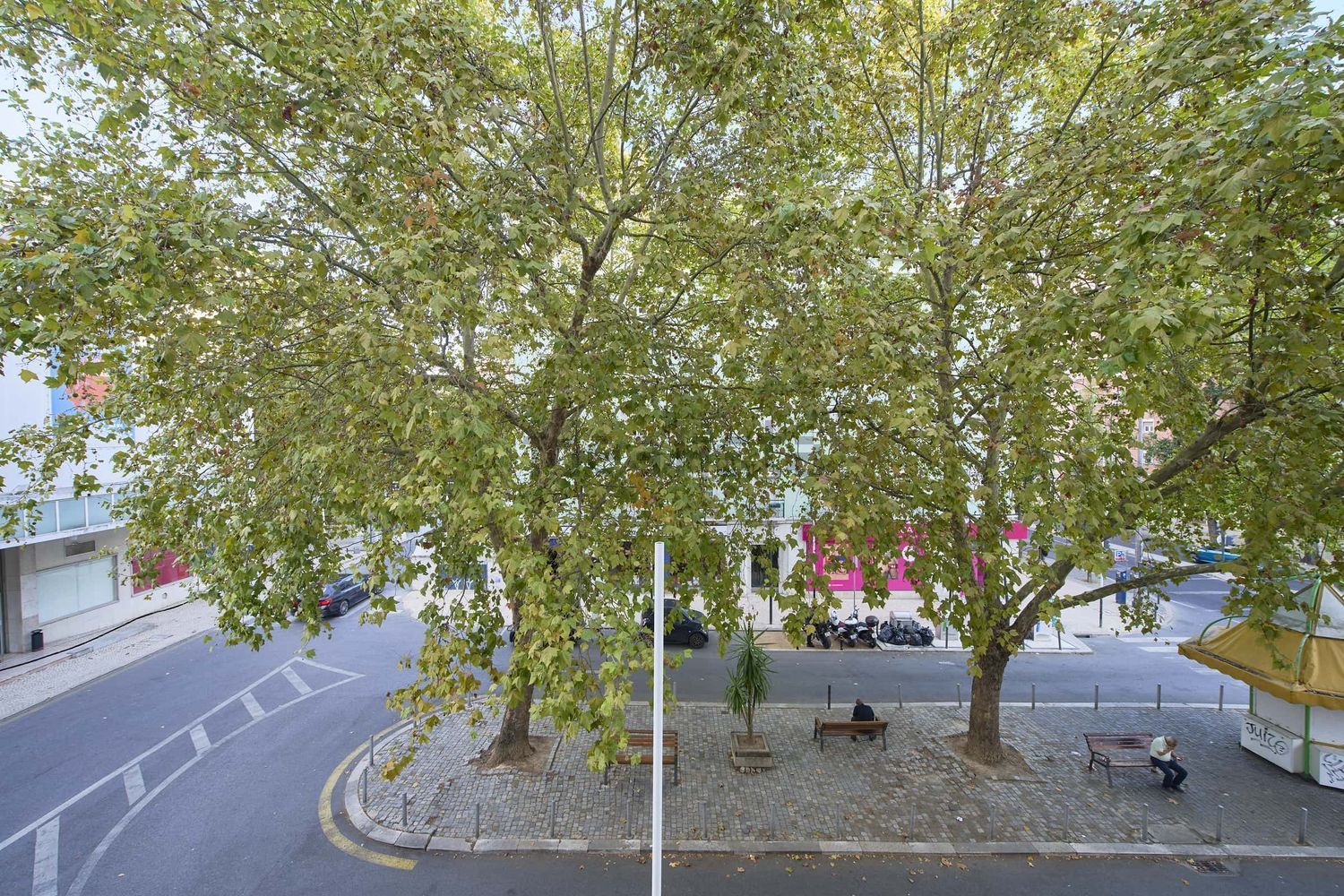 出租房间在Avenida de Roma, 16 - 花园