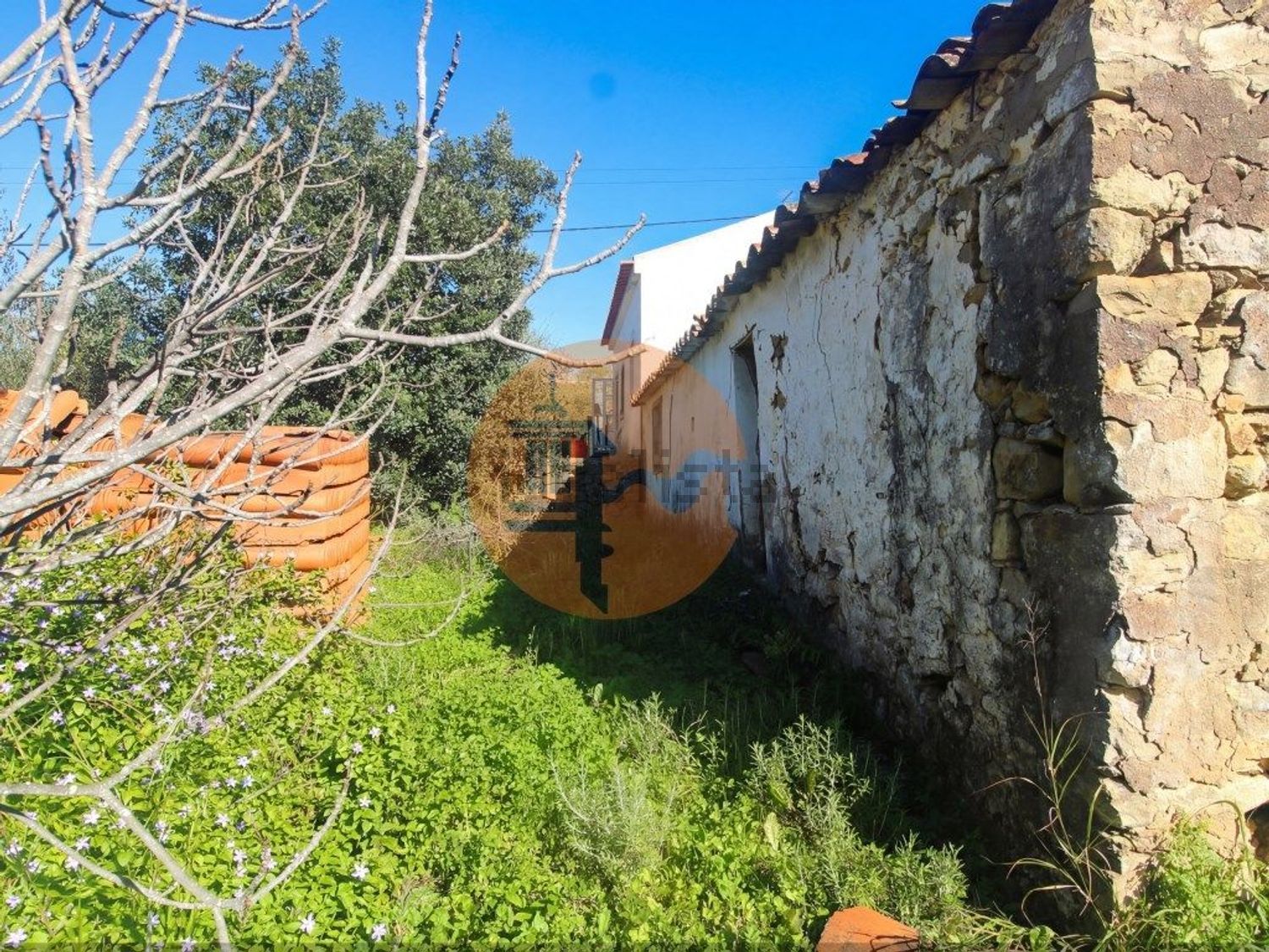 庄园出售在Luz de Tavira e Santo Estêvão - 外立面