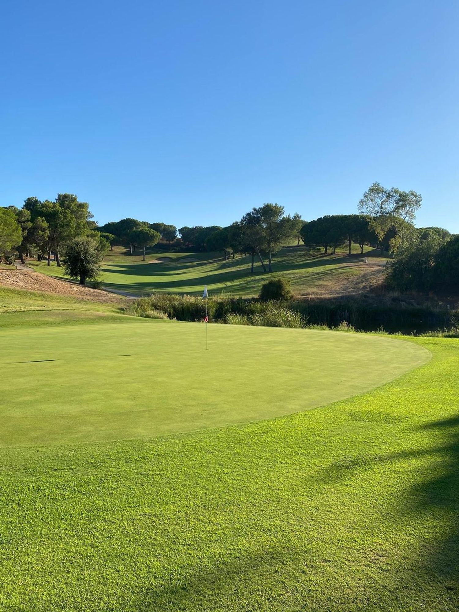 联排别墅出售golf resort - 花园
