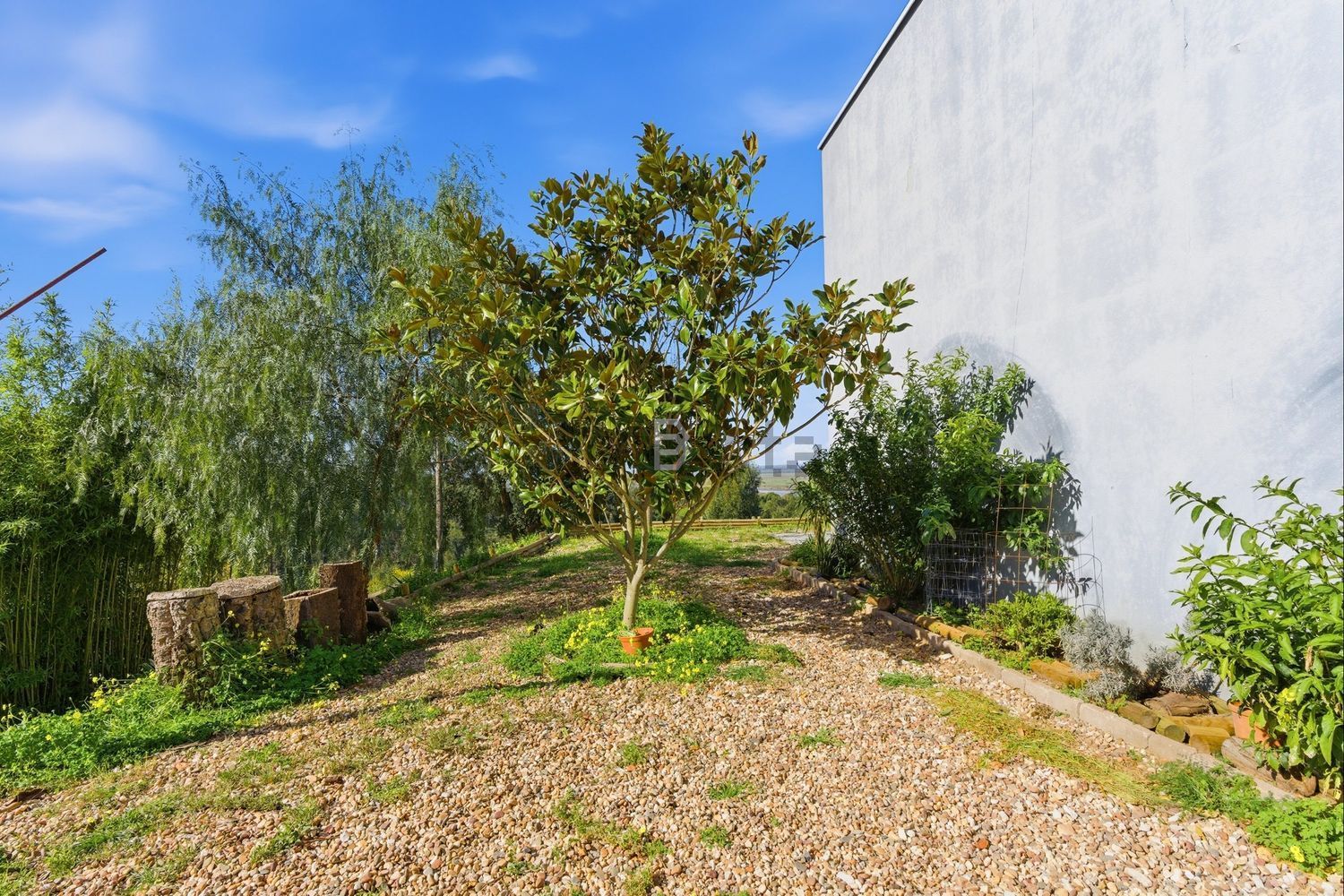 小楼房或独栋别墅出售Estr do Conventinho S/n, Ponte da Chamusca, 2140-302 - 花园