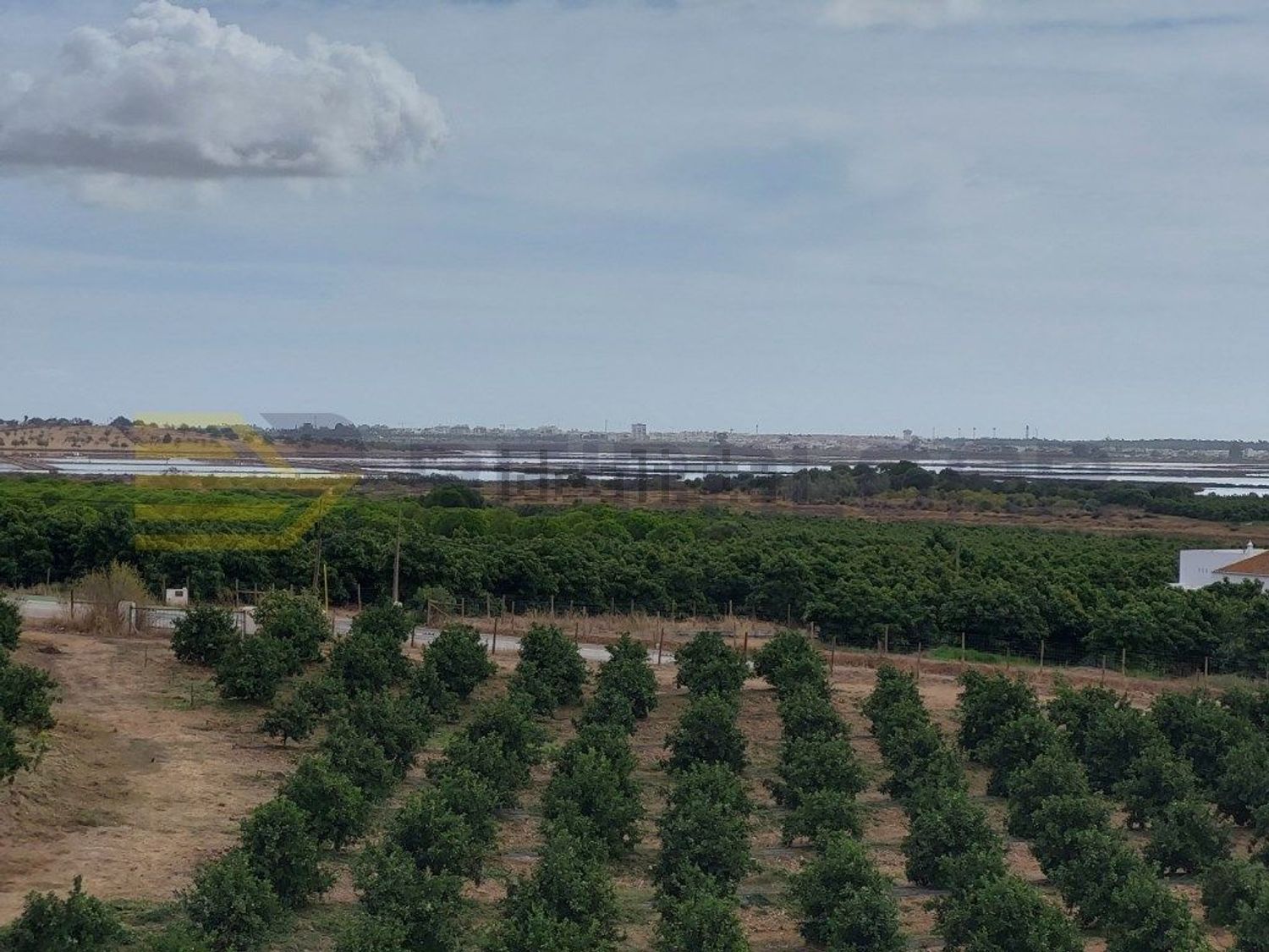 小楼房或独栋别墅出售在Quinta do Sobral - São Bartolomeu - 花园
