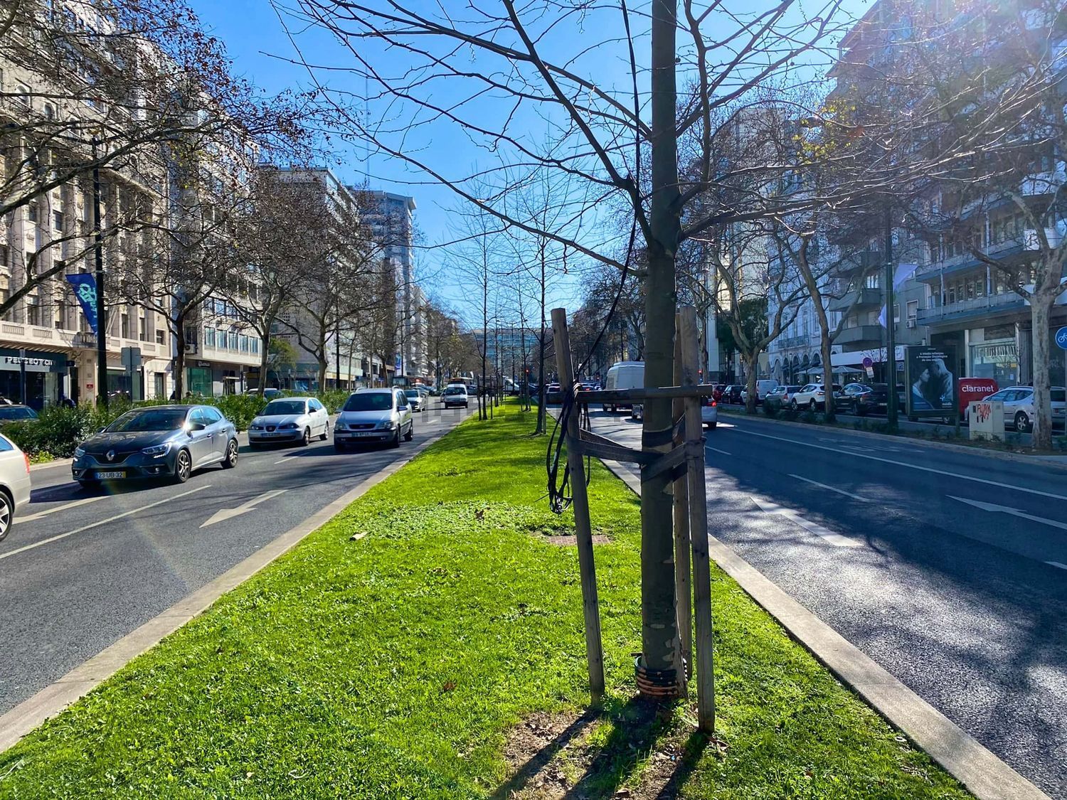 出租房间在Campo Pequeno - 视线