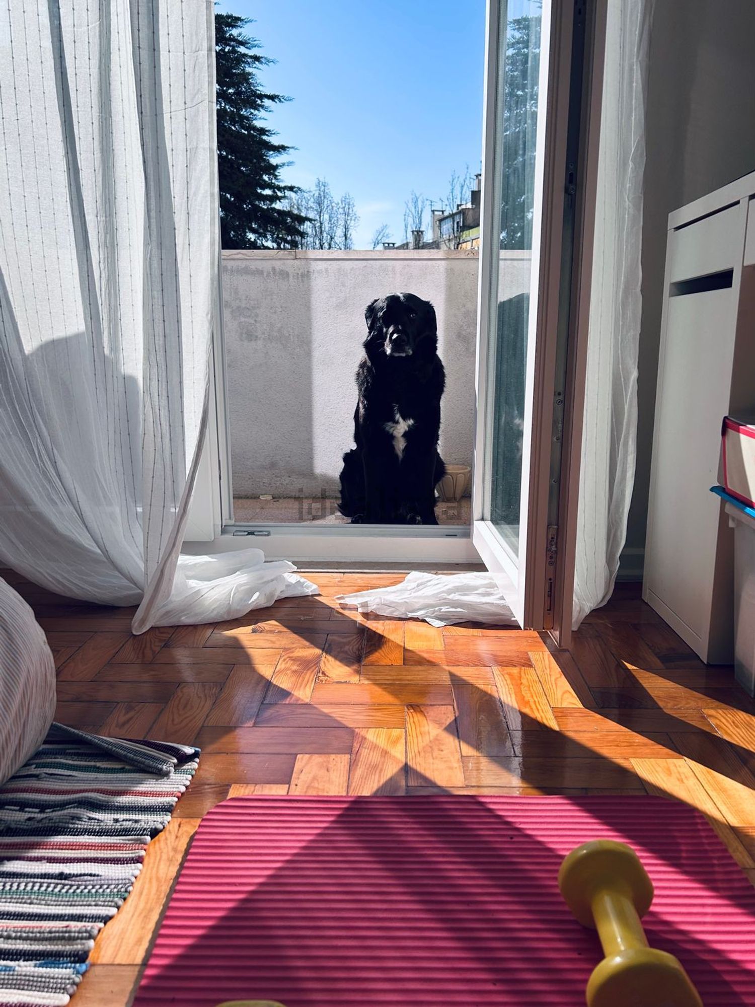 出租房间在Rua da Quinta do Charquinho, 1 .º dto - 照片