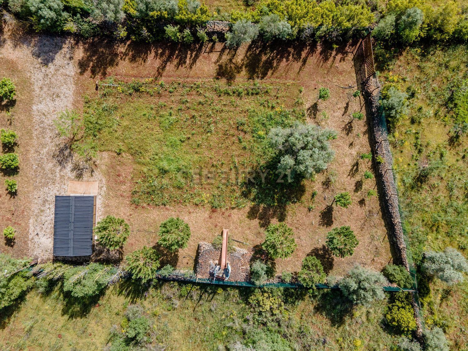 小楼房或独栋别墅出售Aivados e Fontes, Alcantarilha, Portugal - 花园