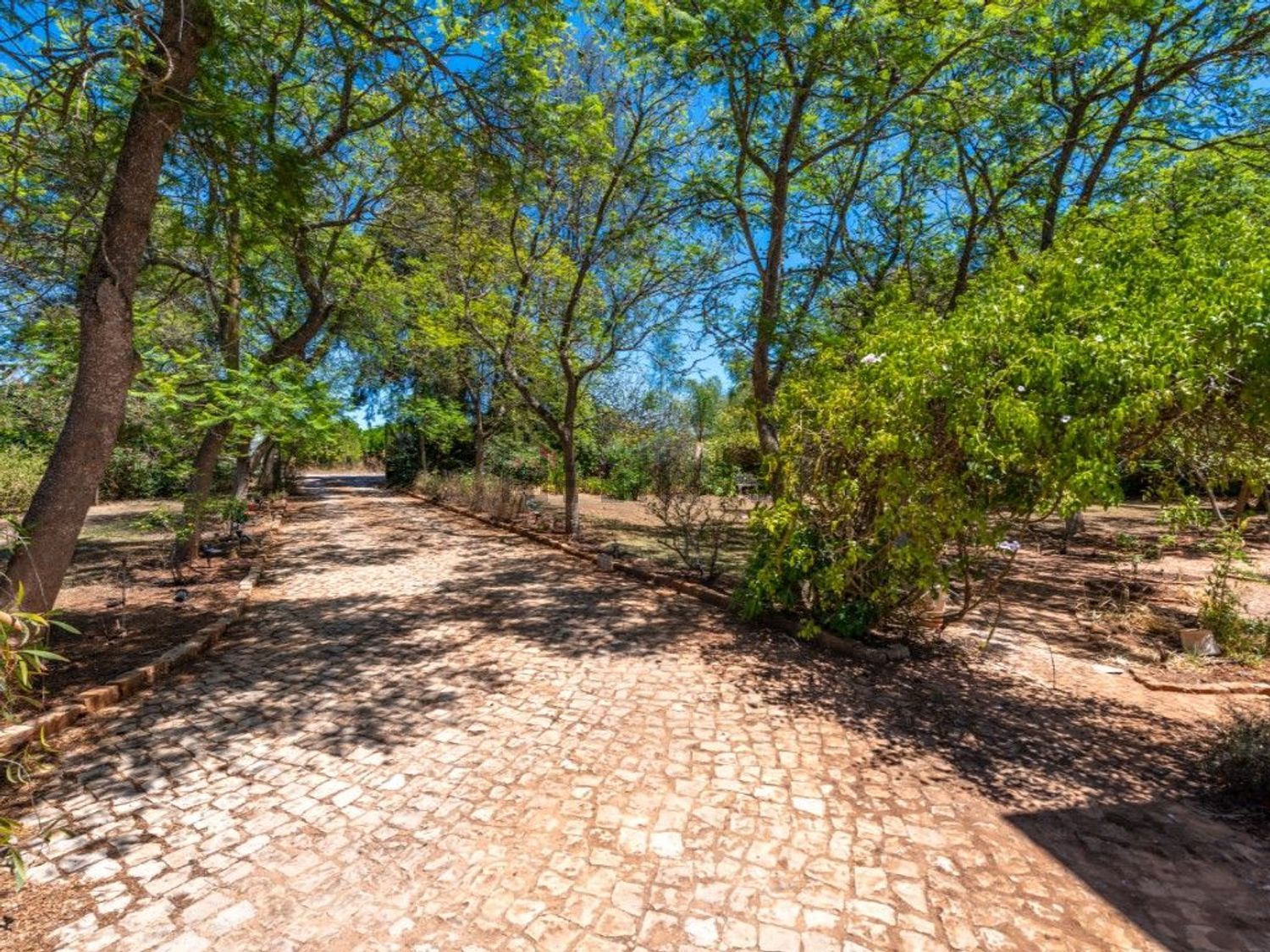 小楼房或独栋别墅出售在Estrada dos Amendoais, 66 - 花园